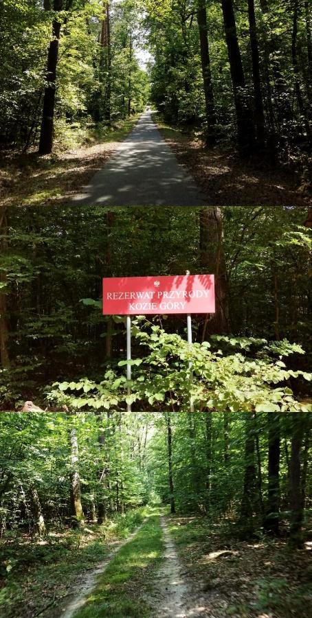 Agroturystyka U Izabelli Niemce Exterior foto